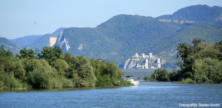 Golubac