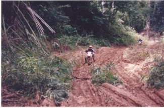 Mayombe Gabon 94