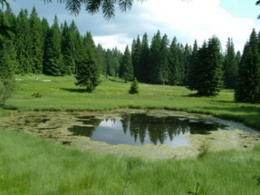golija mountain