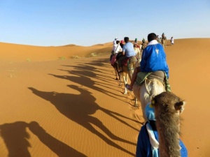 sahara-merzouga