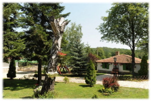 balasevic21