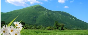 rtanj_naslovna