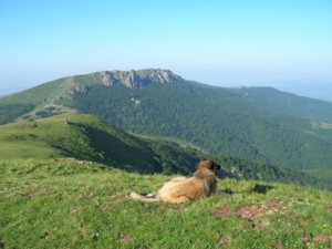 stara-planina