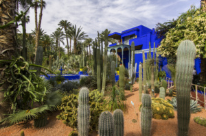 Jardin (garden) Majorelle